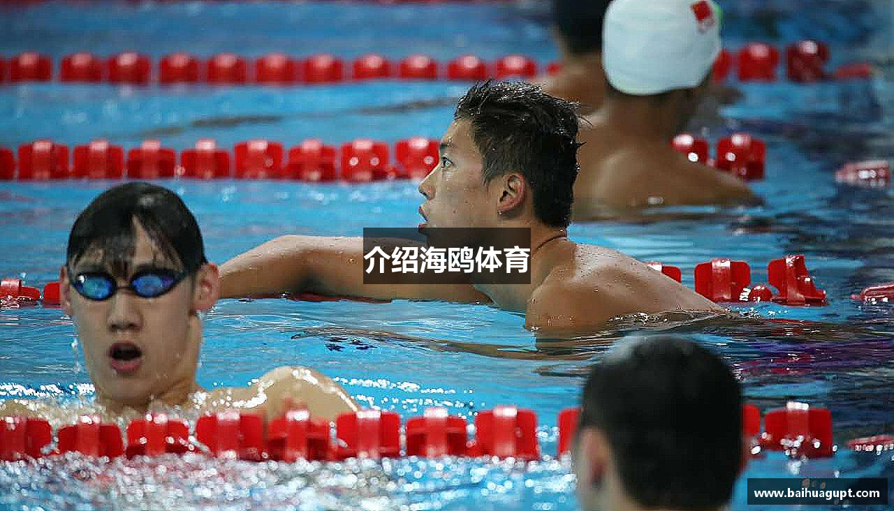 介绍海鸥体育